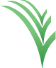 Logo Besl Bischoff Gartenbau und Gartenpflege AG