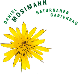 Logo Daniel Mosimann