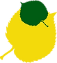 Logo Haring + Partner Gartenbau AG