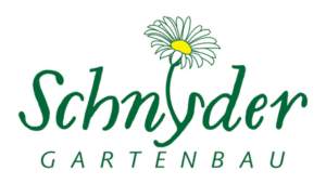 Logo Martin Schnyder