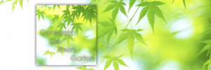 Logo Zgraggen Gartenbau
