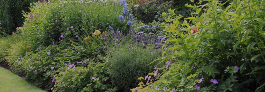 Adi's Gartenbau AG