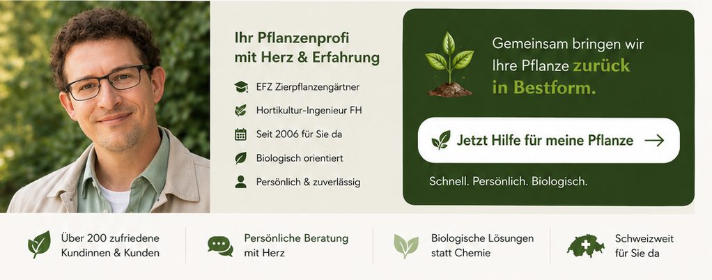 Alpha Pflanzenprofi GmbH