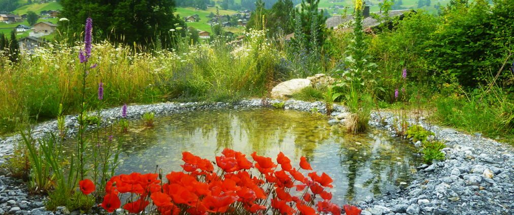 Bolz Gartenbau GmbH