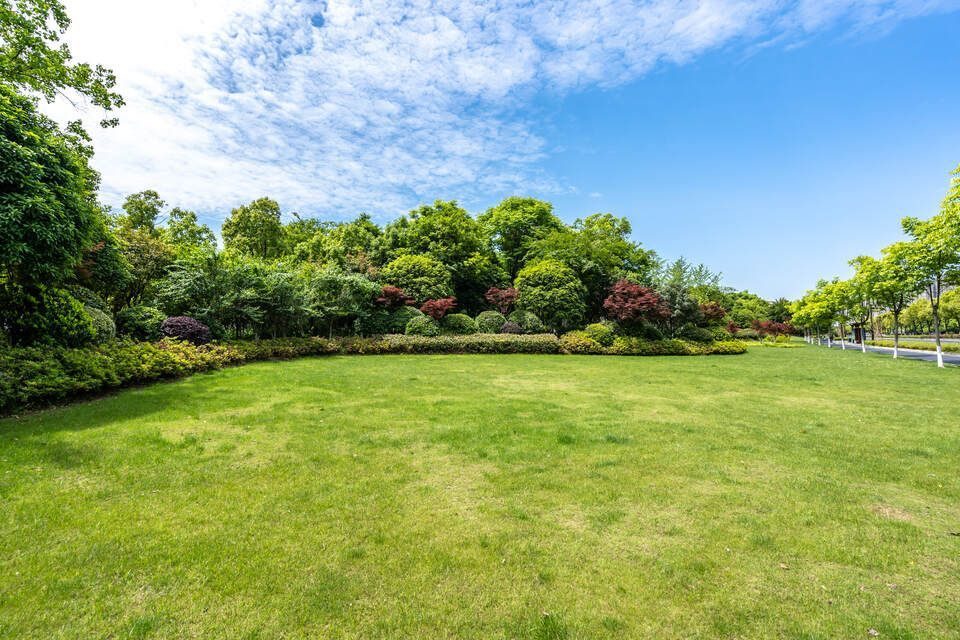 Braun Gartenbau AG