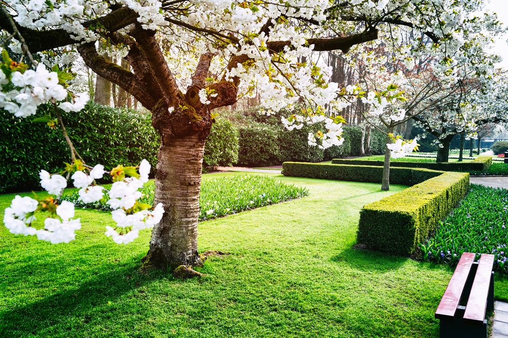 Bucher Gartengestaltung GmbH