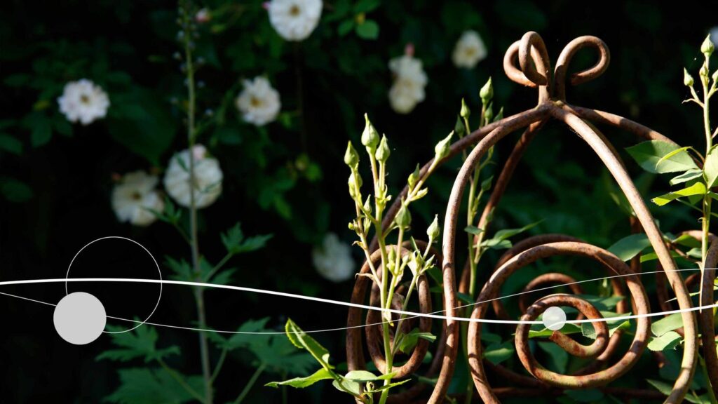 Fischer Gartenbau AG