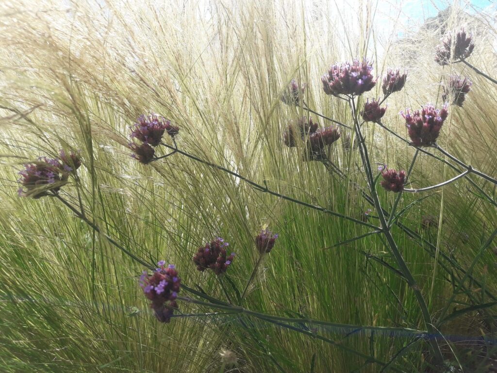 Garten Baumann