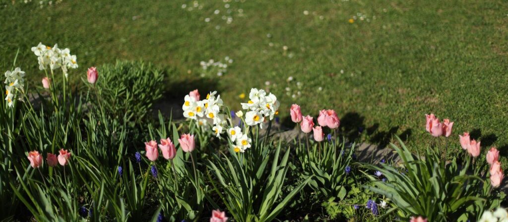 Hotz Gartenbau AG