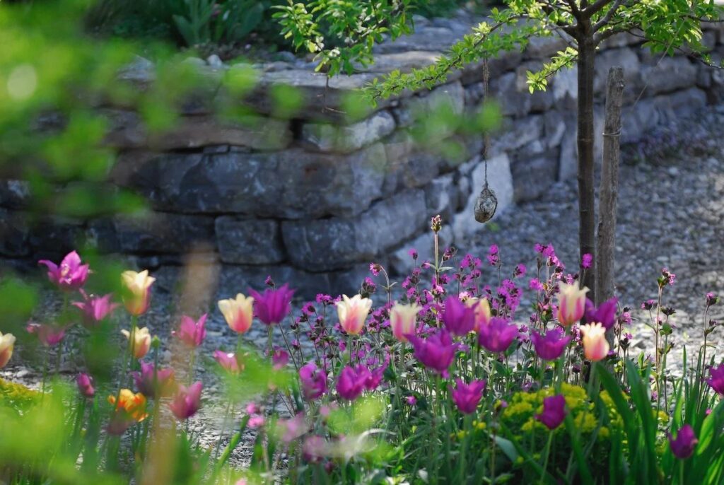 Mark Fetzer Gartengestaltung GmbH