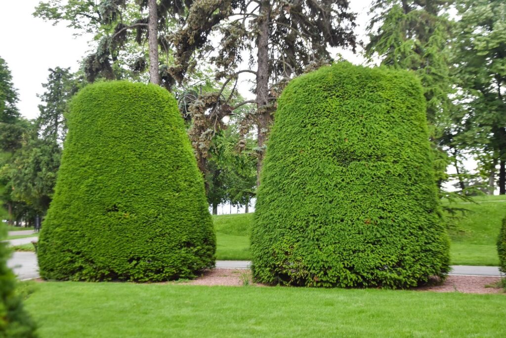 SULA GARTENBAU