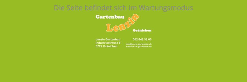 Ulrich Lenzin