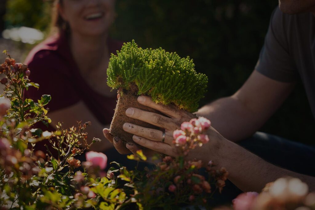 Urech Garten AG